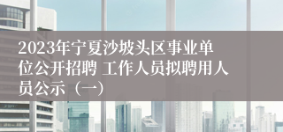 2023年宁夏沙坡头区事业单位公开招聘 工作人员拟聘用人员公示（一）