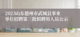 2023山东德州市武城县事业单位招聘第三批拟聘用人员公示