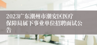 2023广东潮州市潮安区医疗保障局属下事业单位招聘面试公告