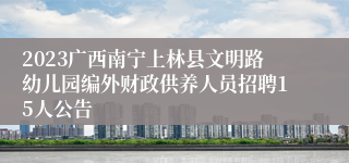 2023广西南宁上林县文明路幼儿园编外财政供养人员招聘15人公告