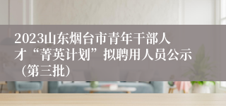 2023山东烟台市青年干部人才“菁英计划”拟聘用人员公示（第三批）