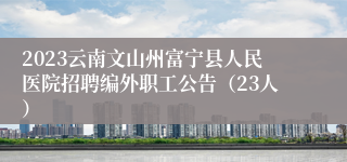 2023云南文山州富宁县人民医院招聘编外职工公告（23人）