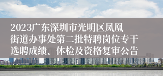 2023广东深圳市光明区凤凰街道办事处第二批特聘岗位专干选聘成绩、体检及资格复审公告