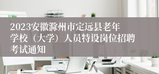 2023安徽滁州市定远县老年学校（大学）人员特设岗位招聘考试通知