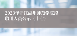 2023年浙江湖州师范学院拟聘用人员公示（十七）