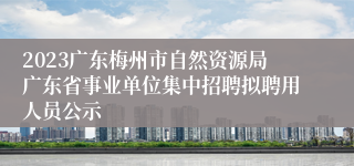 2023广东梅州市自然资源局广东省事业单位集中招聘拟聘用人员公示