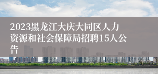 2023黑龙江大庆大同区人力资源和社会保障局招聘15人公告