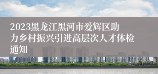 2023黑龙江黑河市爱辉区助力乡村振兴引进高层次人才体检通知