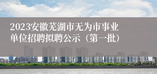 2023安徽芜湖市无为市事业单位招聘拟聘公示（第一批）