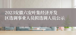 2023安徽六安叶集经济开发区选调事业人员拟选调人员公示