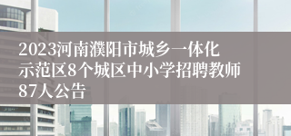 2023河南濮阳市城乡一体化示范区8个城区中小学招聘教师87人公告