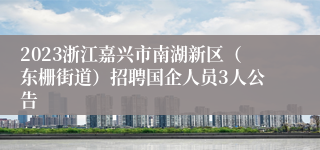 2023浙江嘉兴市南湖新区（东栅街道）招聘国企人员3人公告