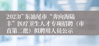 2023广东汕尾市“奔向海陆丰”医疗卫生人才专项招聘（市直第二批）拟聘用人员公示