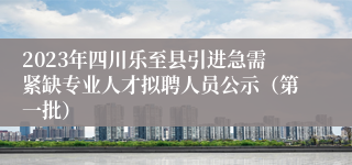 2023年四川乐至县引进急需紧缺专业人才拟聘人员公示（第一批）