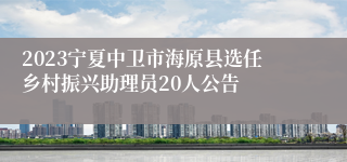 2023宁夏中卫市海原县选任乡村振兴助理员20人公告