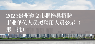 2023贵州遵义市桐梓县招聘事业单位人员拟聘用人员公示（第二批）
