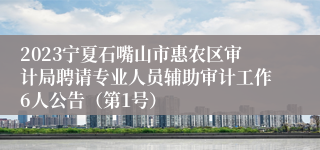 2023宁夏石嘴山市惠农区审计局聘请专业人员辅助审计工作6人公告（第1号）