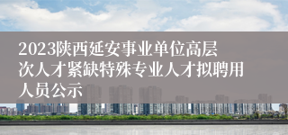 2023陕西延安事业单位高层次人才紧缺特殊专业人才拟聘用人员公示