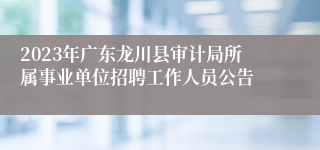 2023年广东龙川县审计局所属事业单位招聘工作人员公告