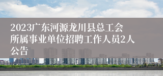 2023广东河源龙川县总工会所属事业单位招聘工作人员2人公告