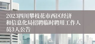 2023四川攀枝花市西区经济和信息化局招聘临时聘用工作人员3人公告