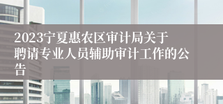 2023宁夏惠农区审计局关于聘请专业人员辅助审计工作的公告