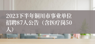 2023下半年铜川市事业单位招聘87人公告（含医疗岗50人）