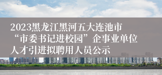 2023黑龙江黑河五大连池市“市委书记进校园”企事业单位人才引进拟聘用人员公示