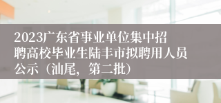 2023广东省事业单位集中招聘高校毕业生陆丰市拟聘用人员公示（汕尾，第二批）