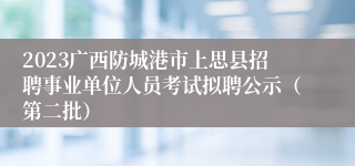 2023广西防城港市上思县招聘事业单位人员考试拟聘公示（第二批）