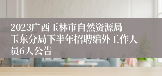 2023广西玉林市自然资源局玉东分局下半年招聘编外工作人员6人公告