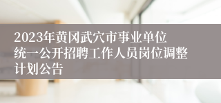 2023年黄冈武穴市事业单位统一公开招聘工作人员岗位调整计划公告