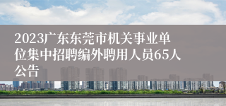 2023广东东莞市机关事业单位集中招聘编外聘用人员65人公告