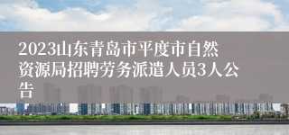 2023山东青岛市平度市自然资源局招聘劳务派遣人员3人公告