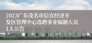 2023广东茂名市信宜经济开发区管理中心选聘事业编制人员1人公告