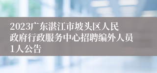 2023广东湛江市坡头区人民政府行政服务中心招聘编外人员1人公告