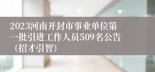 2023河南开封市事业单位第一批引进工作人员509名公告（招才引智）