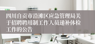 四川自贡市沿滩区应急管理局关于招聘聘用制工作人员递补体检工作的公告