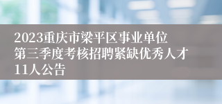 2023重庆市梁平区事业单位第三季度考核招聘紧缺优秀人才11人公告