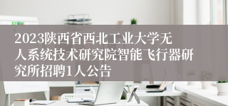 2023陕西省西北工业大学无人系统技术研究院智能飞行器研究所招聘1人公告