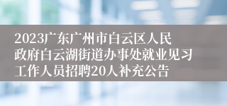 2023广东广州市白云区人民政府白云湖街道办事处就业见习工作人员招聘20人补充公告