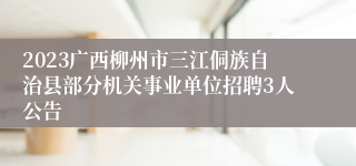 2023广西柳州市三江侗族自治县部分机关事业单位招聘3人公告