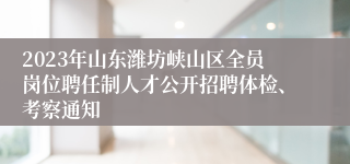 2023年山东潍坊峡山区全员岗位聘任制人才公开招聘体检、考察通知