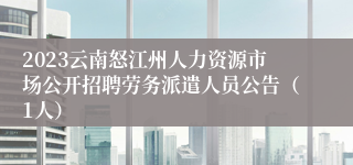 2023云南怒江州人力资源市场公开招聘劳务派遣人员公告（1人）