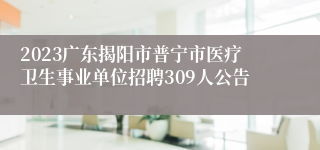2023广东揭阳市普宁市医疗卫生事业单位招聘309人公告