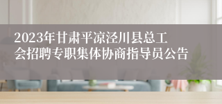 2023年甘肃平凉泾川县总工会招聘专职集体协商指导员公告