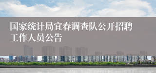 国家统计局宜春调查队公开招聘工作人员公告