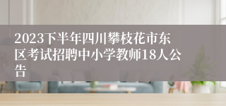 2023下半年四川攀枝花市东区考试招聘中小学教师18人公告