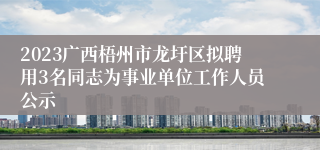 2023广西梧州市龙圩区拟聘用3名同志为事业单位工作人员公示