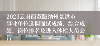 2023云南西双版纳州景洪市事业单位选调面试成绩、综合成绩、岗位排名及进入体检人员公告